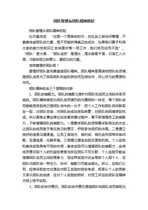 团队管理从团队精神抓起