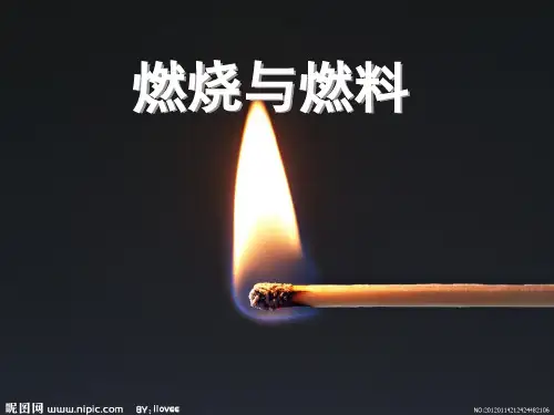 燃烧与燃料复习ppt