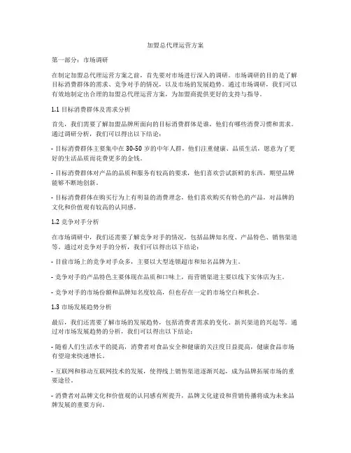 加盟总代理运营方案