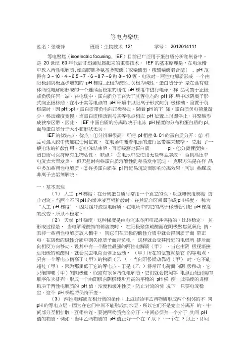 等电点聚焦