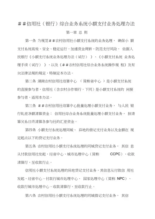 信用社银行综合业务系统小额支付业务处理办法