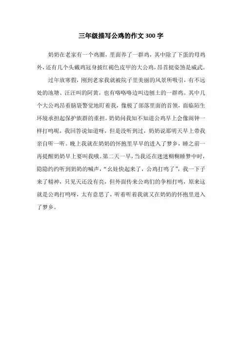 三年级描写公鸡的作文300字