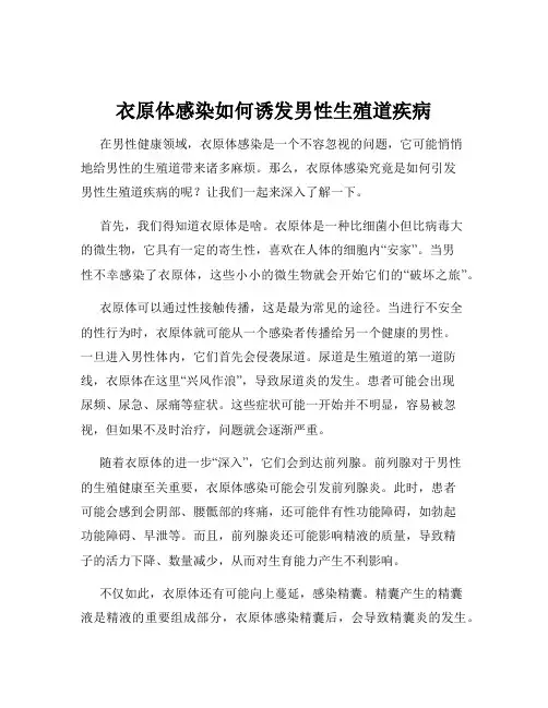 衣原体感染如何诱发男性生殖道疾病