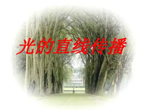 新人教版八年级物理上册4.1 光的直线传播 课件(共29张PPT)