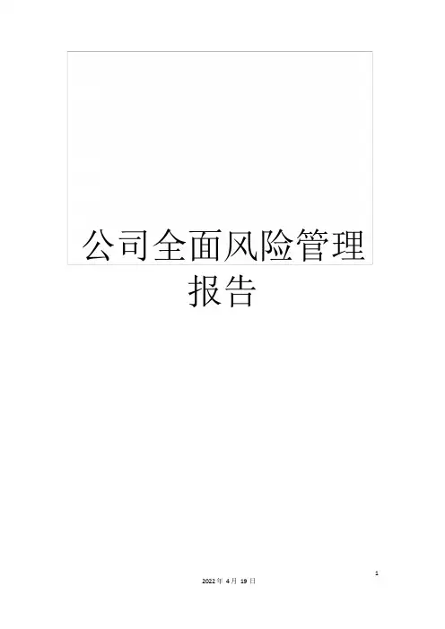 公司全面风险管理报告