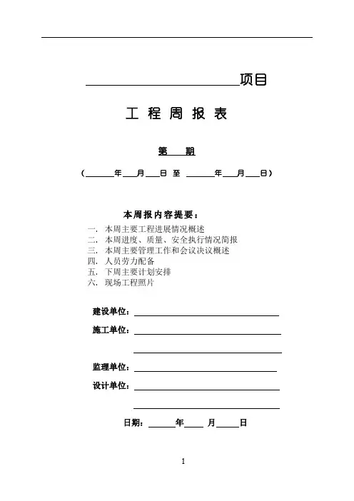 建筑工程周报表模板