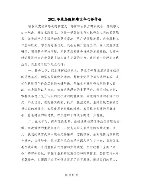 2024年基层组织建设年心得体会(二篇)