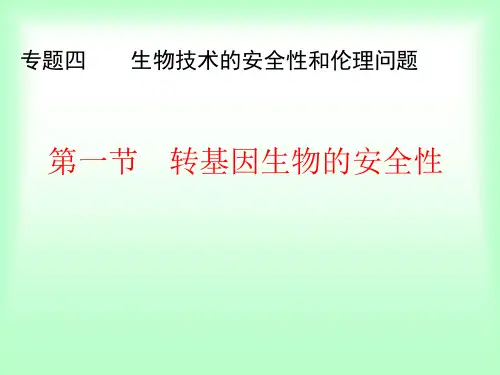 高中生物第四章 生物技术的安全性和伦理问题课件选修3