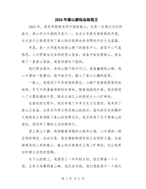 2024年泰山游玩总结范文