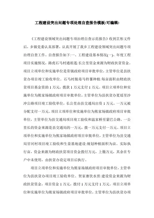 工程建设突出问题专项处理自查报告模板(可编辑).doc
