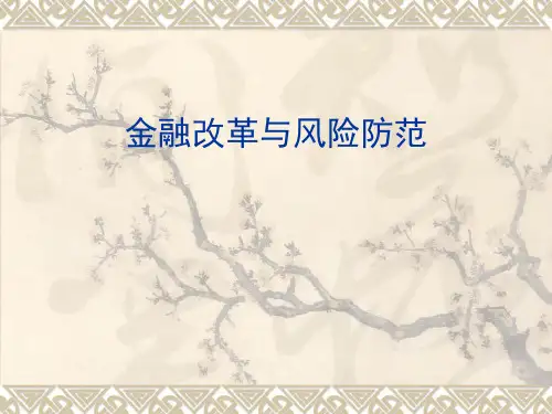 防范金融风险ppt课件