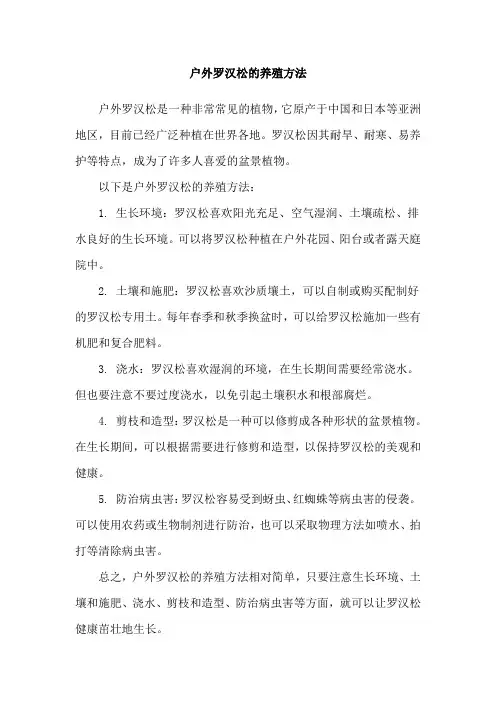 户外罗汉松的养殖方法