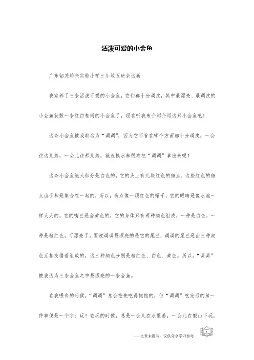 活泼可爱的小金鱼