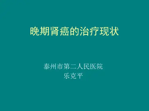 晚期肾癌ppt课件
