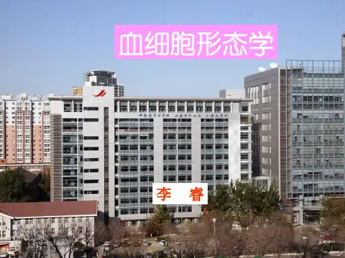 血细胞形态学PPT课件