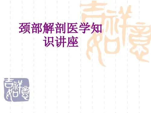 颈部解剖医学知识讲座优质PPT课件