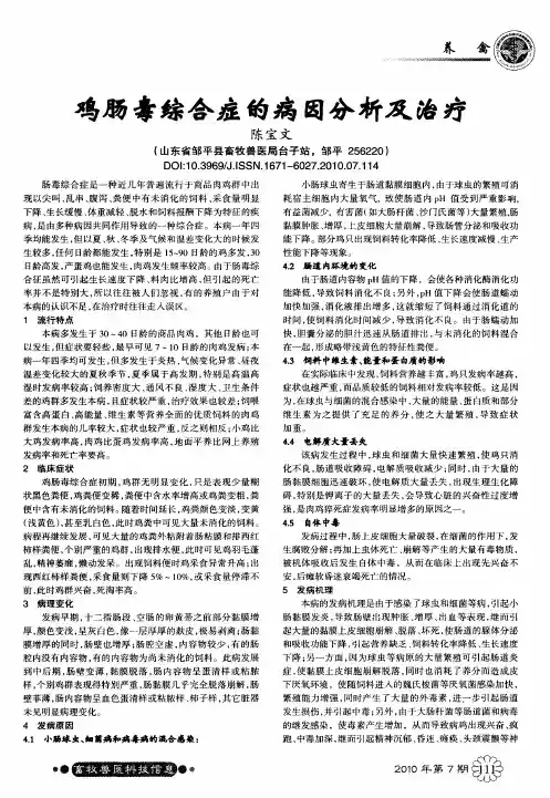 鸡肠毒综合症的病因分析及治疗