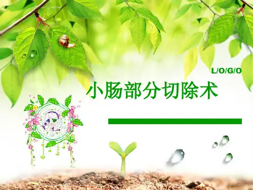 手术室护理查房ppt课件