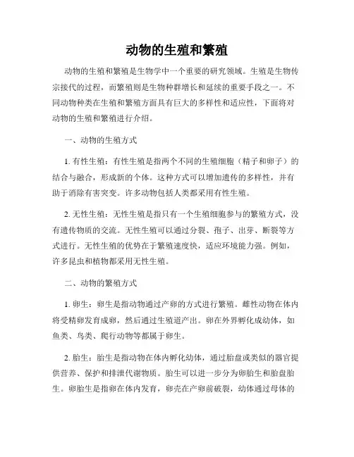 动物的生殖和繁殖