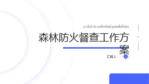 森林防火督查工作方案