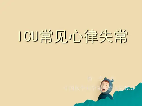 icu常见心律失常讲义