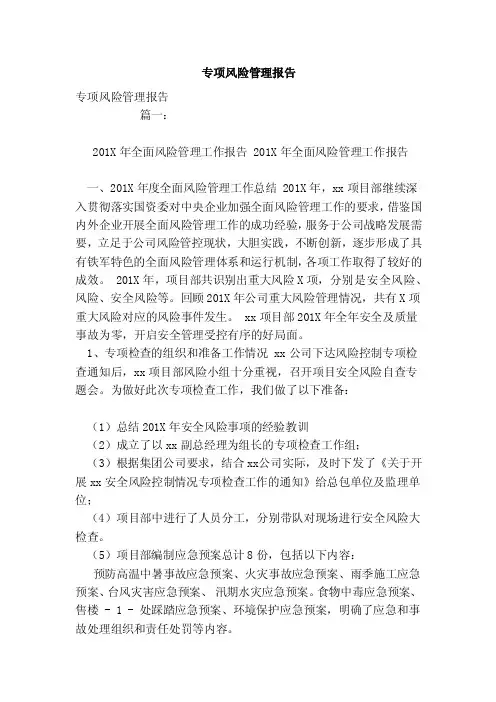 专项风险管理报告（范本）