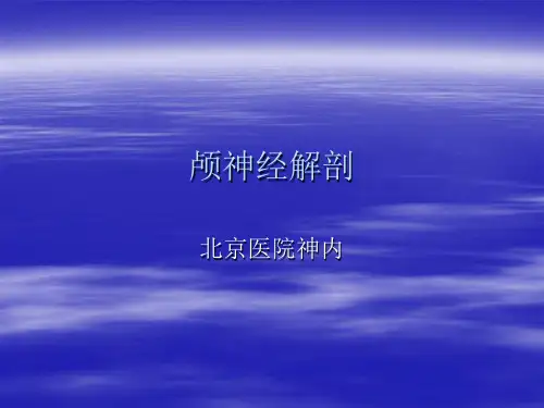 颅神经解剖