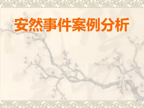安然事件案例PPT课件
