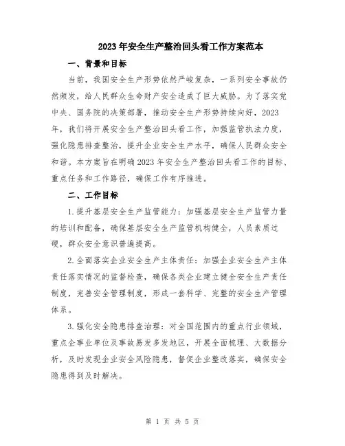 2023年安全生产整治回头看工作方案范本
