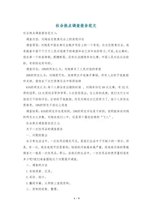 社会热点调查报告范文