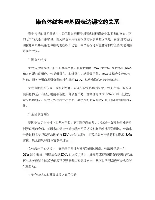 染色体结构与基因表达调控的关系