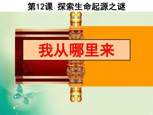 2018-2019学年人教版必修3 第12课 探索生命起源之谜 课件 (24张)