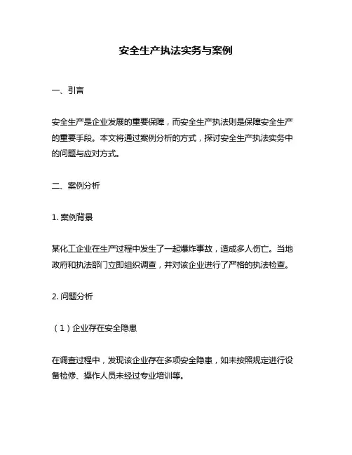 安全生产执法实务与案例
