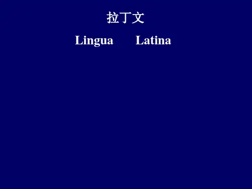 拉丁文课件