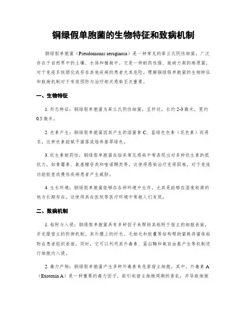 铜绿假单胞菌的生物特征和致病机制