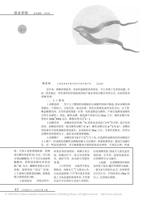 黄鳝养殖技术之三黄鳝人工繁殖及苗种培育技术