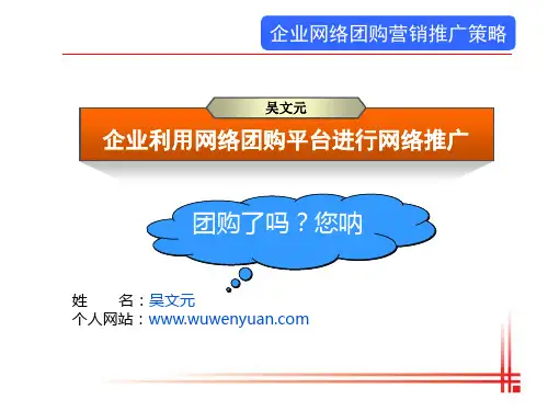 企业网络团购营销策略(不错的PPT)