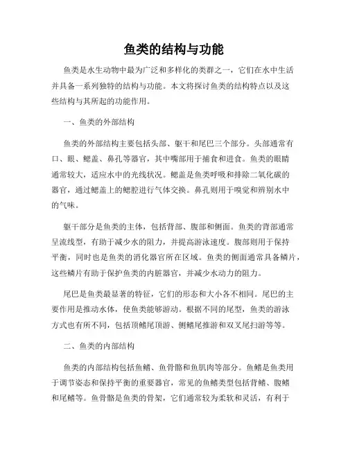 鱼类的结构与功能