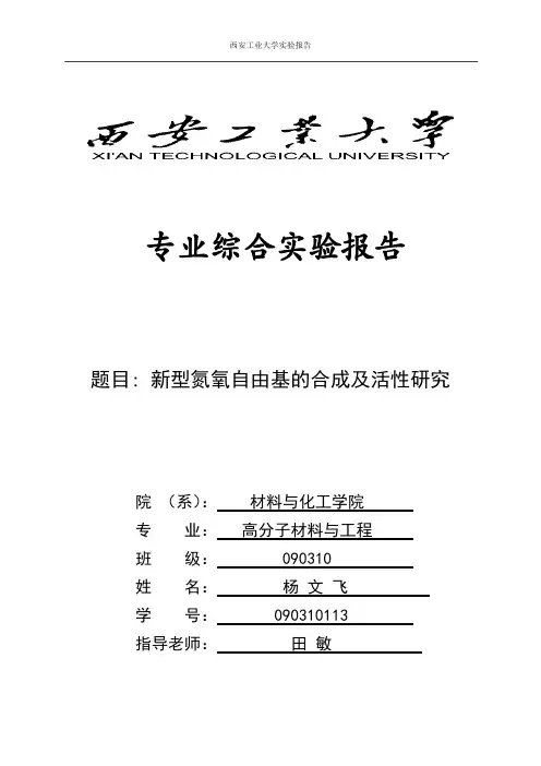 综合实验报告 氮氧活性自由基的制备