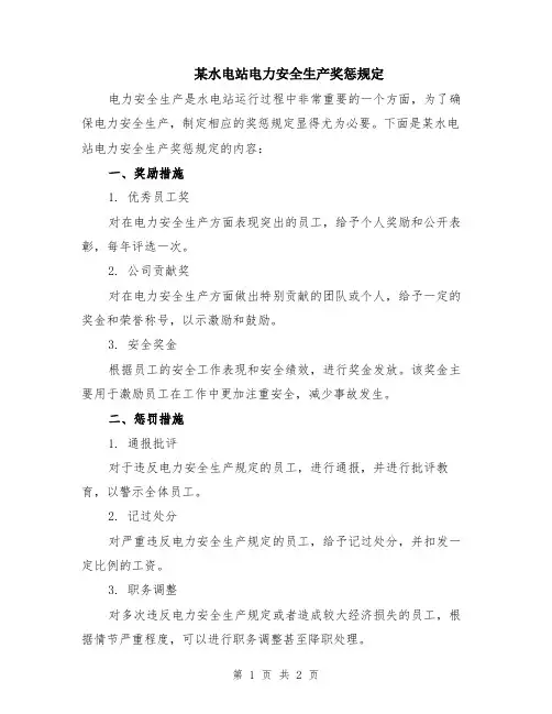 某水电站电力安全生产奖惩规定