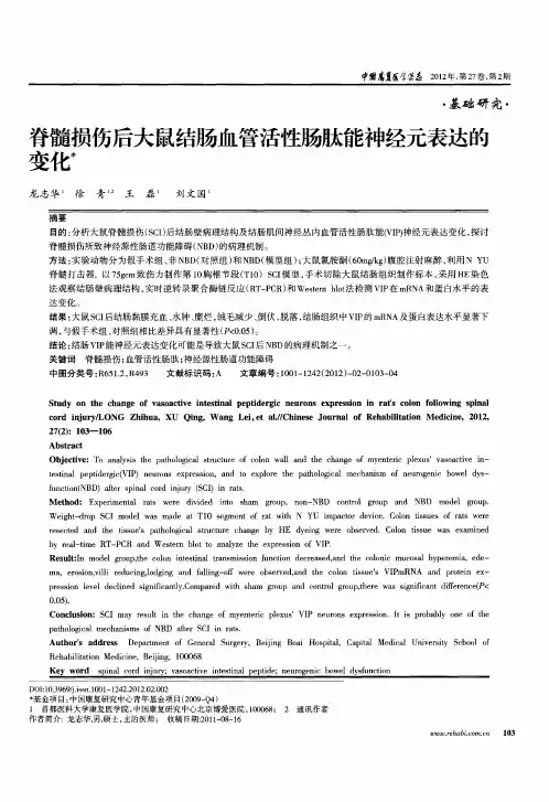 脊髓损伤后大鼠结肠血管活性肠肽能神经元表达的变化