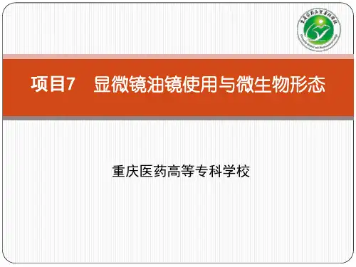 项目7显微镜油镜使用与微生物形态观察ppt(精)