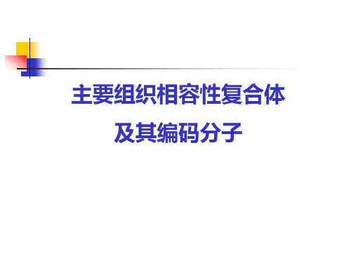 主要组织相容性复合体及其编码分子 PPT课件
