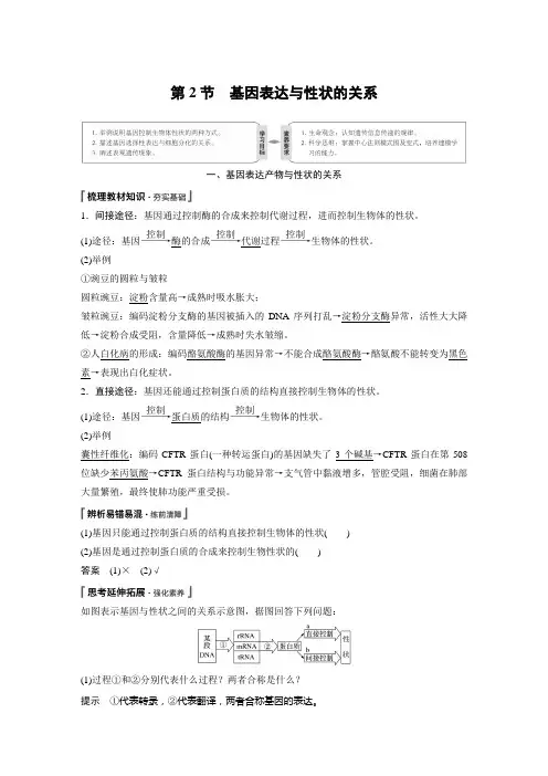 第4章 第2节 基因表达与性状的关系