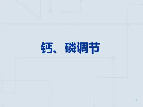 钙磷调节PPT课件
