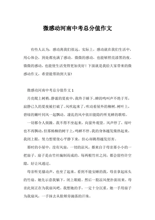(中考作文)微感动河南中考满分作文