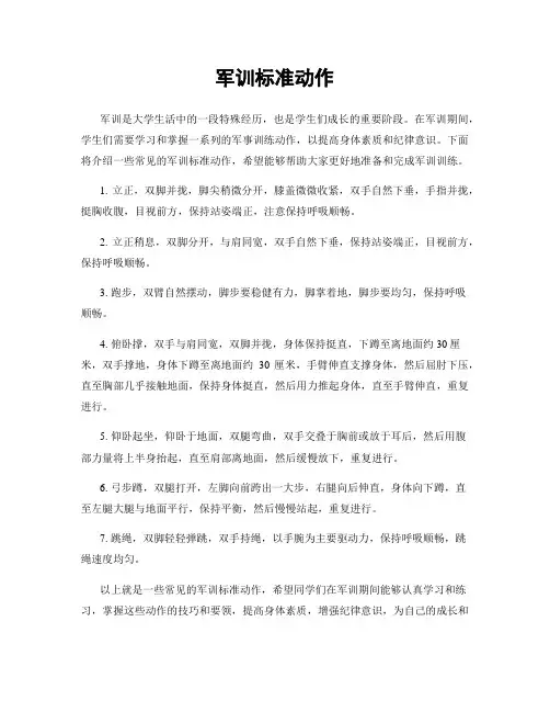 军训标准动作