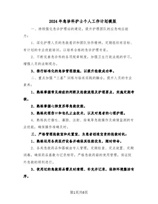 2024年急诊科护士个人工作计划模版（三篇）