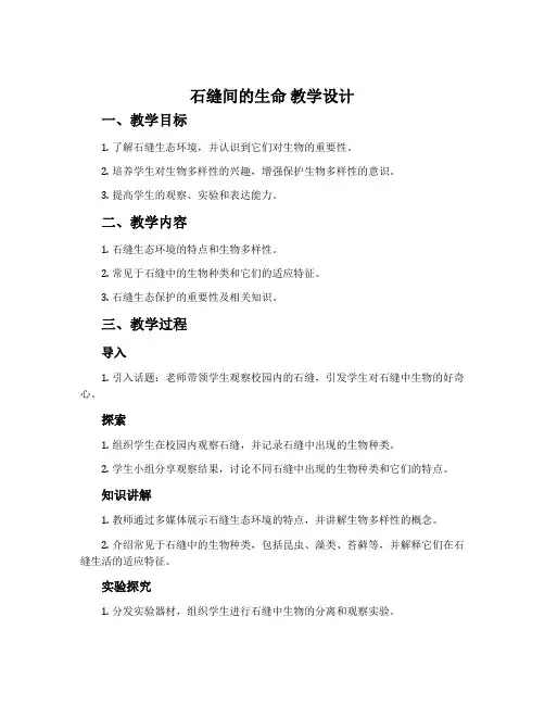 《石缝间的生命》教学设计