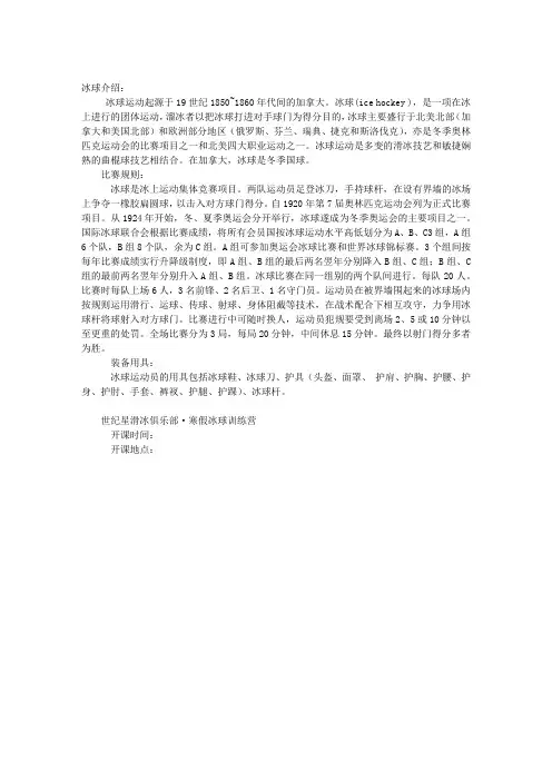 冰球项目